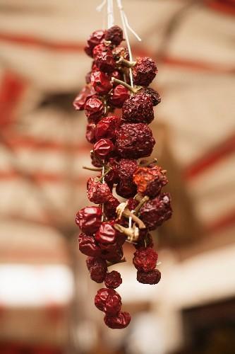Intervista Gastronomica a Mariano Sabatini peperoncino