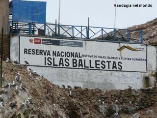 Isole Ballestas e Parco Nazionale di Paracas