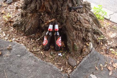 VIA PORTUENSE LA MATTINA E' UN CIMITERO DI BOTTIGLIE, MANCO FOSSE UNA VIA DELLA MOVIDA NOTTURNA... MA L'AMA DOV'E'?