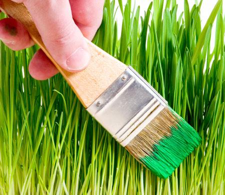 greenwashing Greenwashing: una pratica davvero poco verde 