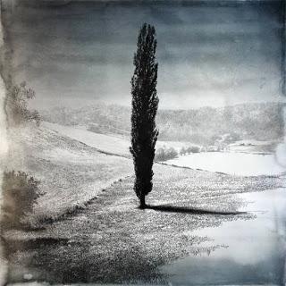 G I O R G I A   B E L T R A M I - IL PENSIERO NATURALE