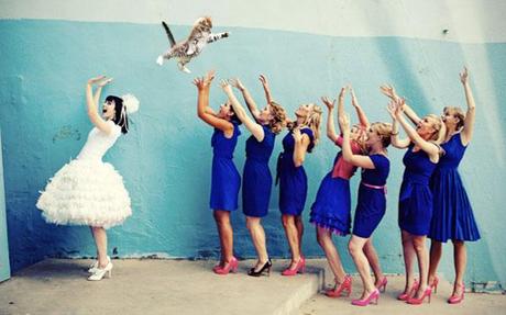 Brides Throwing Cats. Gattini e spose, la nuova follia dal web.