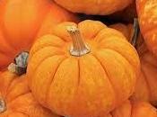 Speciale Halloween: marmellata zucca