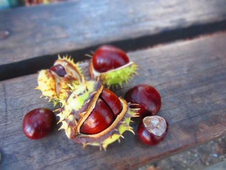 Autunno? Fatevi prendere in castagna!