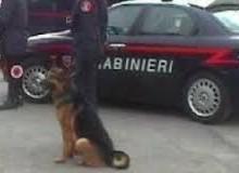 Traffico di droga: arresti a Torino, Alessandria, Cuneo, Vercelli, Novara, Prato e Savona