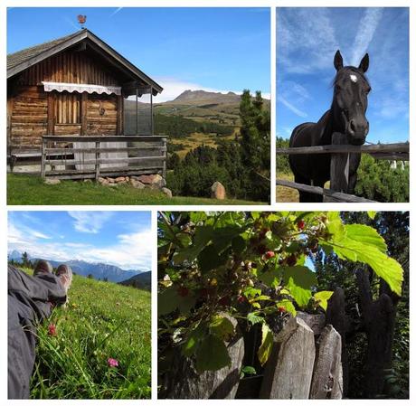 ALTO ADIGE: ALPE DI VILLANDRO