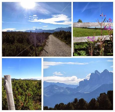 ALTO ADIGE: ALPE DI VILLANDRO