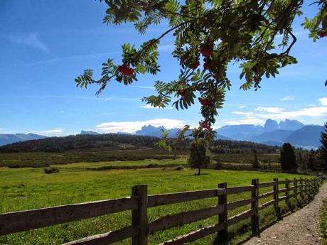 ALTO ADIGE: ALPE DI VILLANDRO