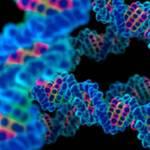 Tumori, Dna “spazzatura” responsabile di forme comuni di cancro