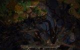 Baldur's Gate II: Enhanced Edition