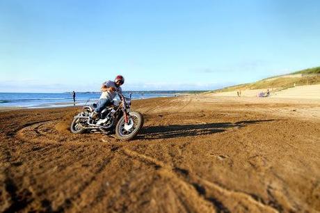 Chirihama 2013 - Meeting Report