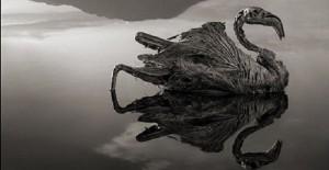 Lago Natron in Tanzania: trasforma gli animali in statue di pietra