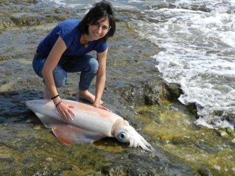 222432130-edaaa627-3c22-4f0b-88f7-6c5f3909c11f