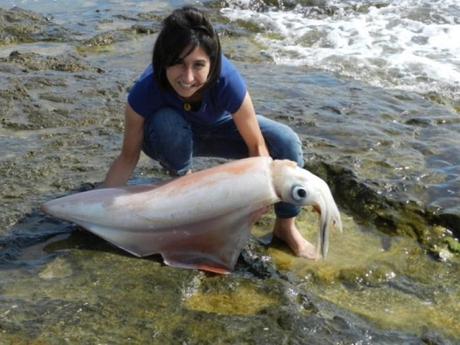 222432114-bd41e1d2-1c47-4776-9793-a4d657b45779