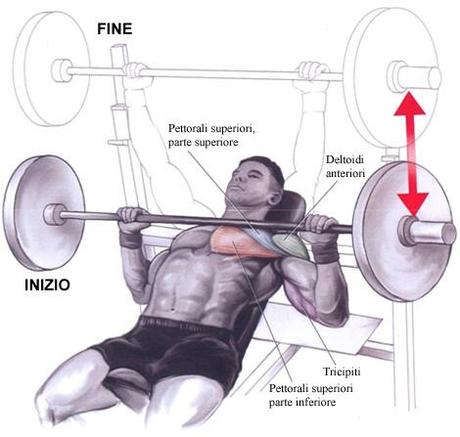 The best routine for the chest muscles of steel! I migliori esercizi per dei pettorali d'acciaio!