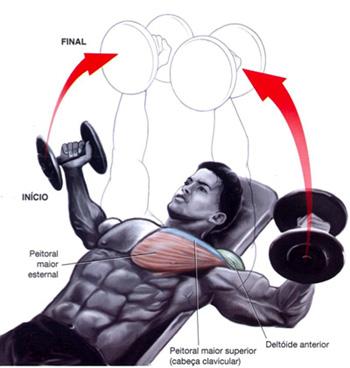 The best routine for the chest muscles of steel! I migliori esercizi per dei pettorali d'acciaio!