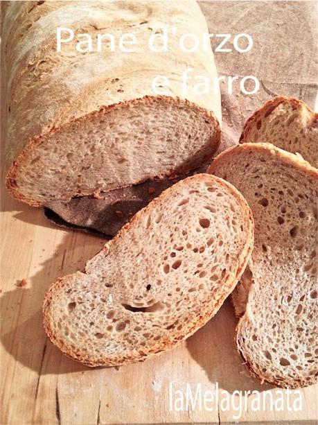 Pane di orzo e farro con lievito madre