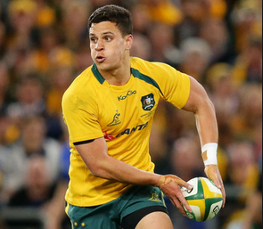 Bledisloe Cup: i wallabies per Dunedin