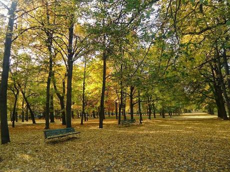 Autumn in Warszawa