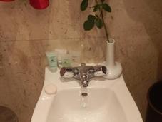 bufala carina:gli italiani fanno troppi bidet!