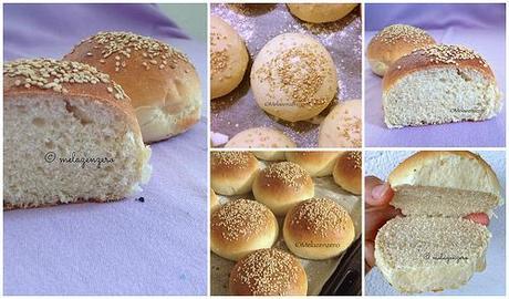 I burger buns, panini da hamburger, e la ricetta per un cheese-burger perfetto BurgerBuns Collage