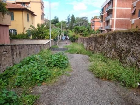 SAFARI URBANO PER LE STRADE DI ROMA! A VIA DI VIGNA PIA, SCENE CAMPESTRI, MANCANO SOLO LE PECORE E I TRATTORI!