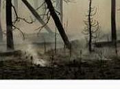 strada Cormac McCarthy