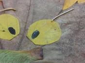 Creazioni autunnali super back school