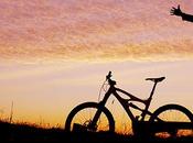 Cactus volta pagina ovvero...nuove prospettive