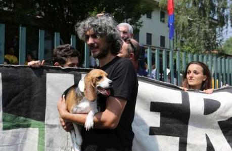 C 4 articolo 2003972  ImageGallery  imageGalleryItem 5 image Green Hill, finalmente adottati ufficialmente i primi 300 Beagle