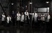 Grey's anatomy - Stagione 9