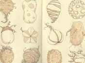 Mattias Adolfsson, delicate illustrazioni dalla Svezia