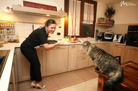 Purses in the Kitchen !