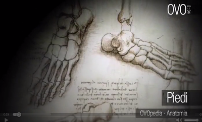 I video di OVO: lo scheletro, la mano, il piede