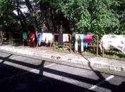 Aperta nuova... lavanderia alla stazione Nuovo Salario. Tante foto dell'opening