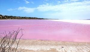 Lake Hillier: si trova in Australia ed è un lago tutto rosa