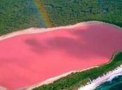 Lake Hillier: trova Australia lago tutto rosa