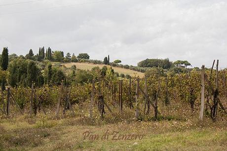 toscana uva vino