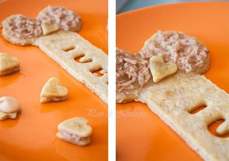 biscotti al tonno per cani