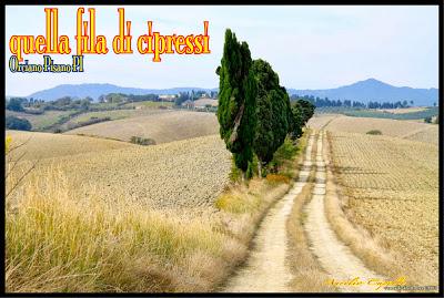 quella (lunga) fila di cipressi