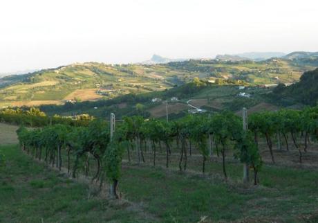 Racconti di Romagna via Tippest: in collina a Roncofreddo