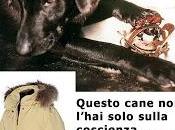 Pelliccia finta sintetica? Macché! confezionarle scuoiano cani, gatti altri animali domestici