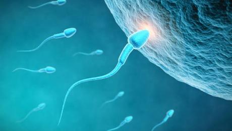 Avere un bambino con la procreazione assistita e inseminazione artificiale.