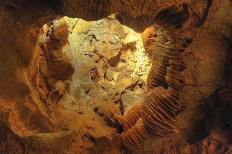 Turismo in Spagna: Le magnifiche Grotte di San José e i misteri del loro fiume sotterraneo, in provincia di Castellón