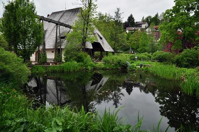 Belle scoperte da imitare: Friburgo, una delle città più green del mondo. Amore a prima vista!