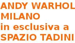 Andy Warhol Milano mostra