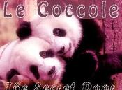 Coccole