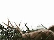 Rosaspina, bella addormentata