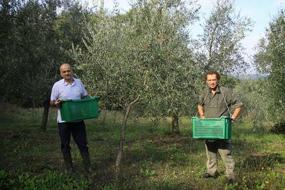 quelli del cordino