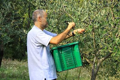 quelli del cordino